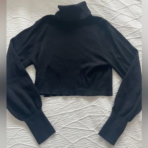 Aritzia Wilfred Turtleneck!